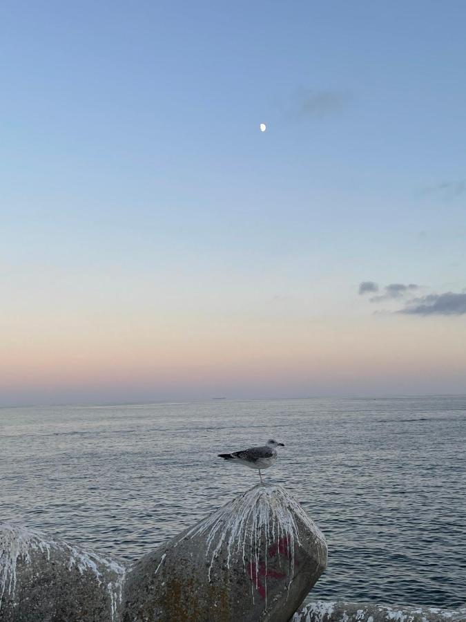 O Som Das Ondas - Vista Soberba De Mar Sesimbra Bagian luar foto